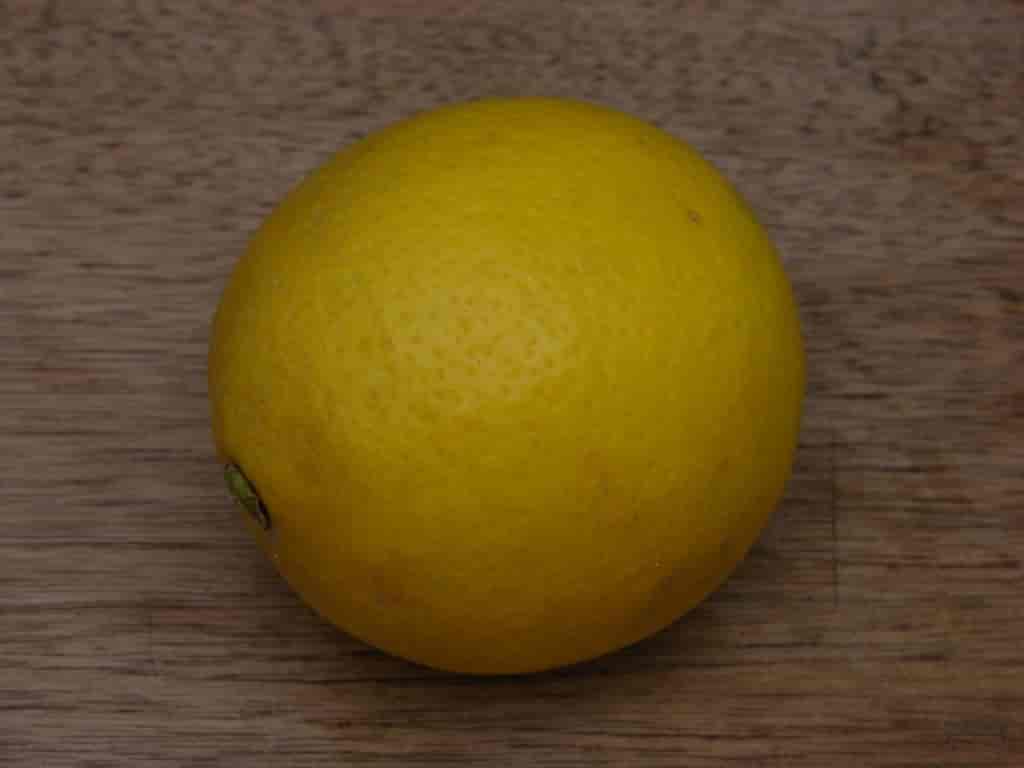 Citrus limon, sitron. Foto fra: Hus Randers
