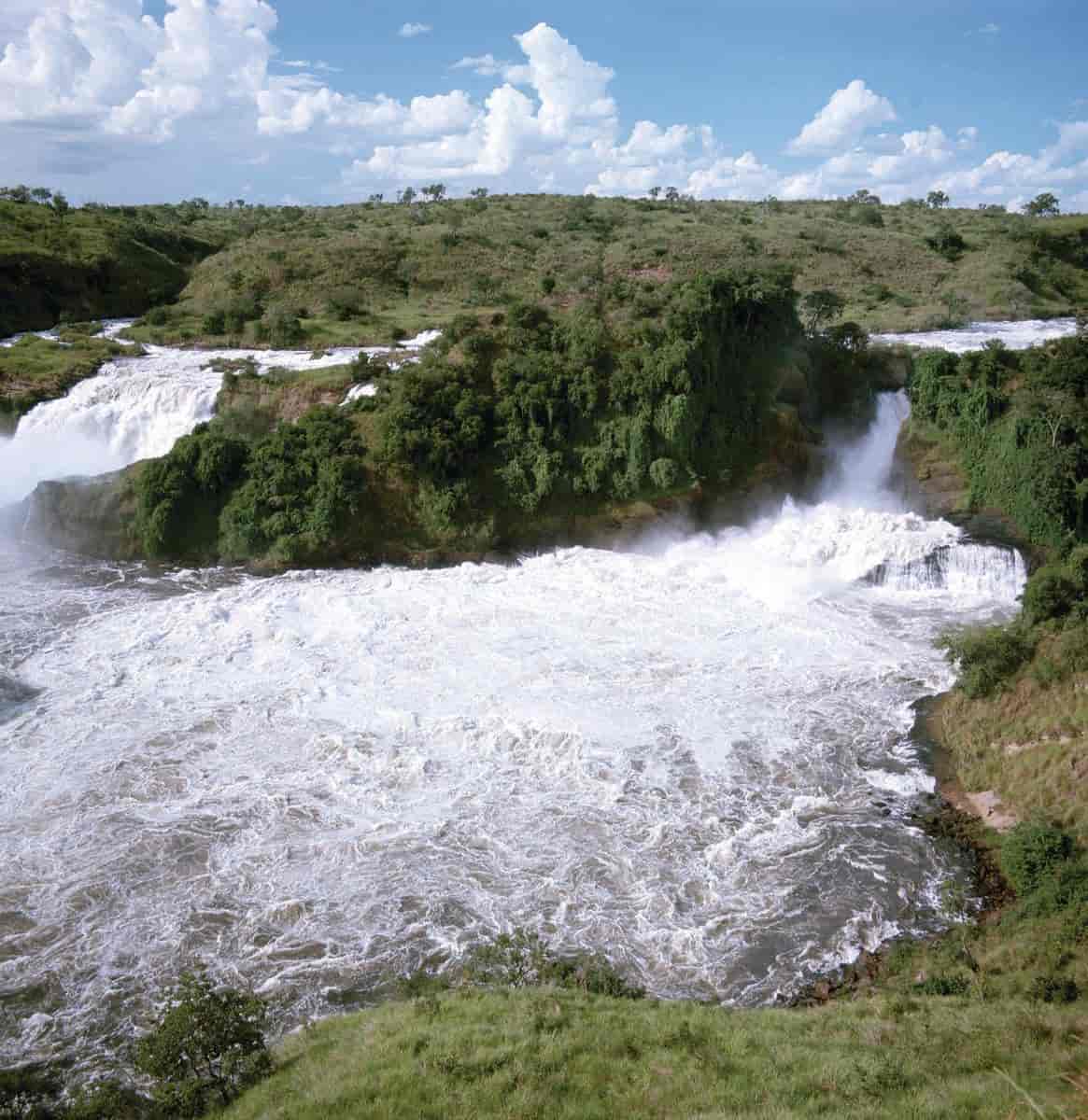 Uganda (Murchison nasjonalpark)