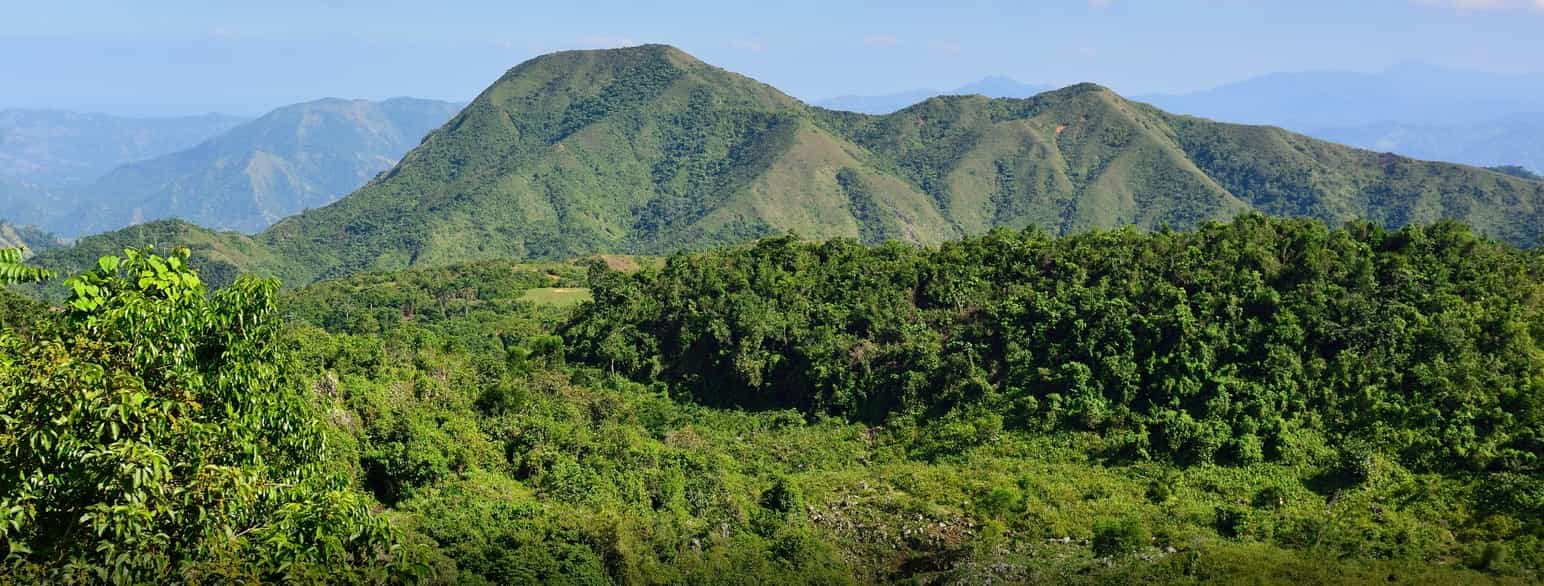 Tropisk skog og fjellandskap på Haiti