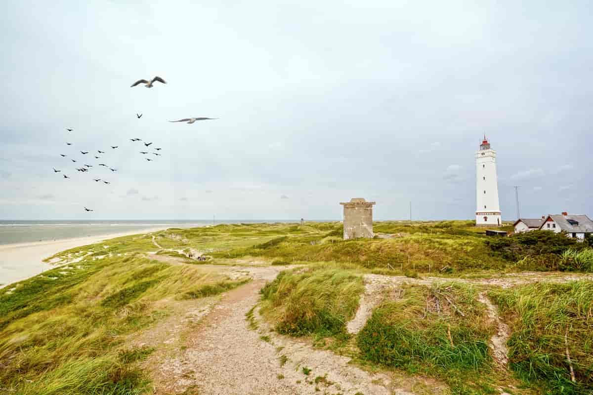 Stranden Blavand i Danmark