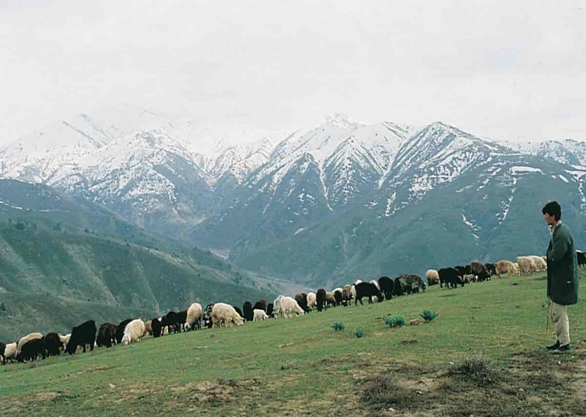 Usbekistan, landskap
