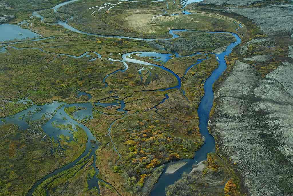 Våtmark og tundra i Alaska