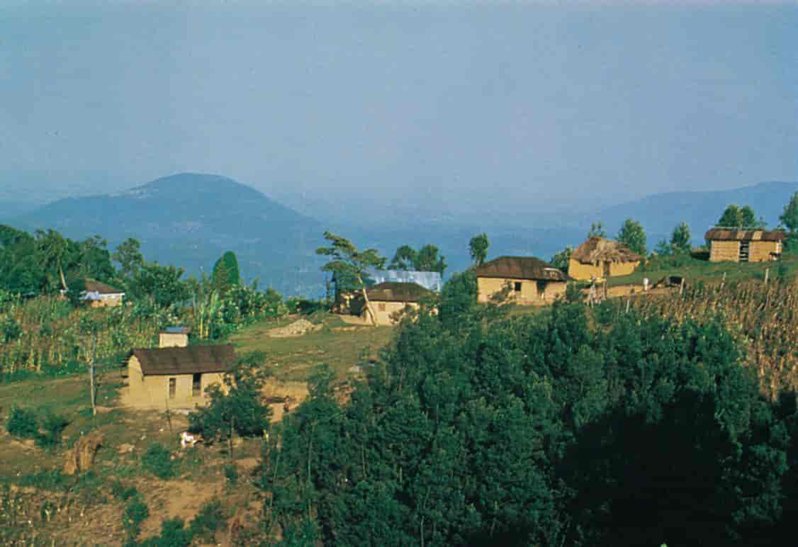 Kenya (Befolkning) (landsby, Taita Hills)