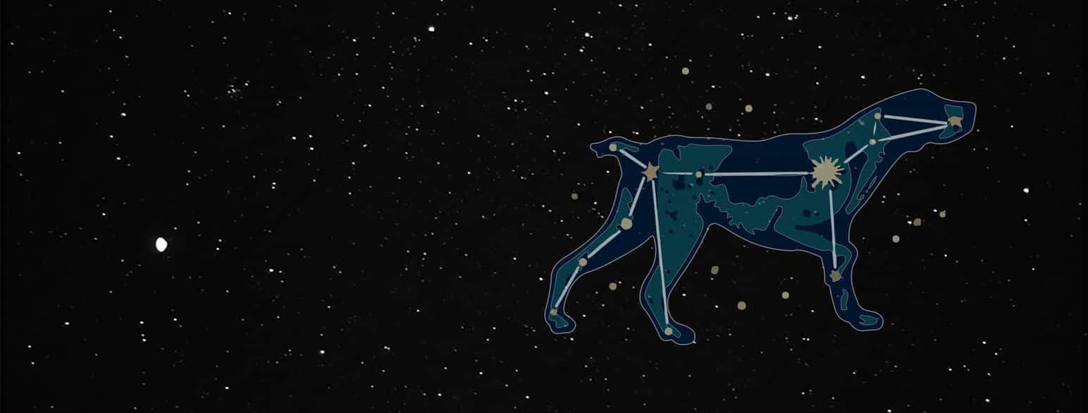 Stjernen Sirius og en tegning av stjernebildet Store hund
