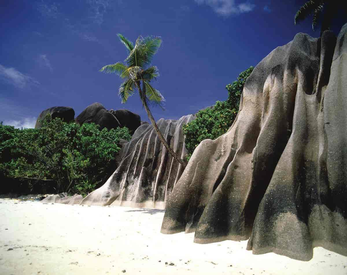Seychellene
