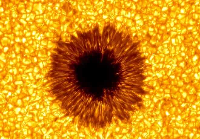 Bildet viser en stor solflekk som består av en mørk, sentral umbra som er ca 4000 grader varm, omgitt av en noe varmere og lysere penumbra med avlange strukturer som peker ut fra umbraen. Bildet er tatt med det svenske solobservatoriet på La Palma.