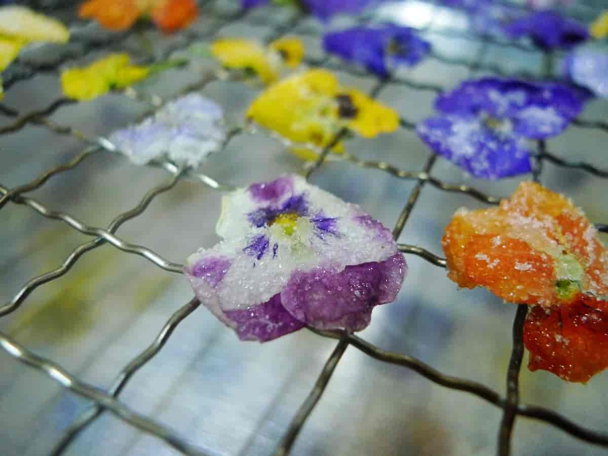 Kandiserte, spiselige blomster