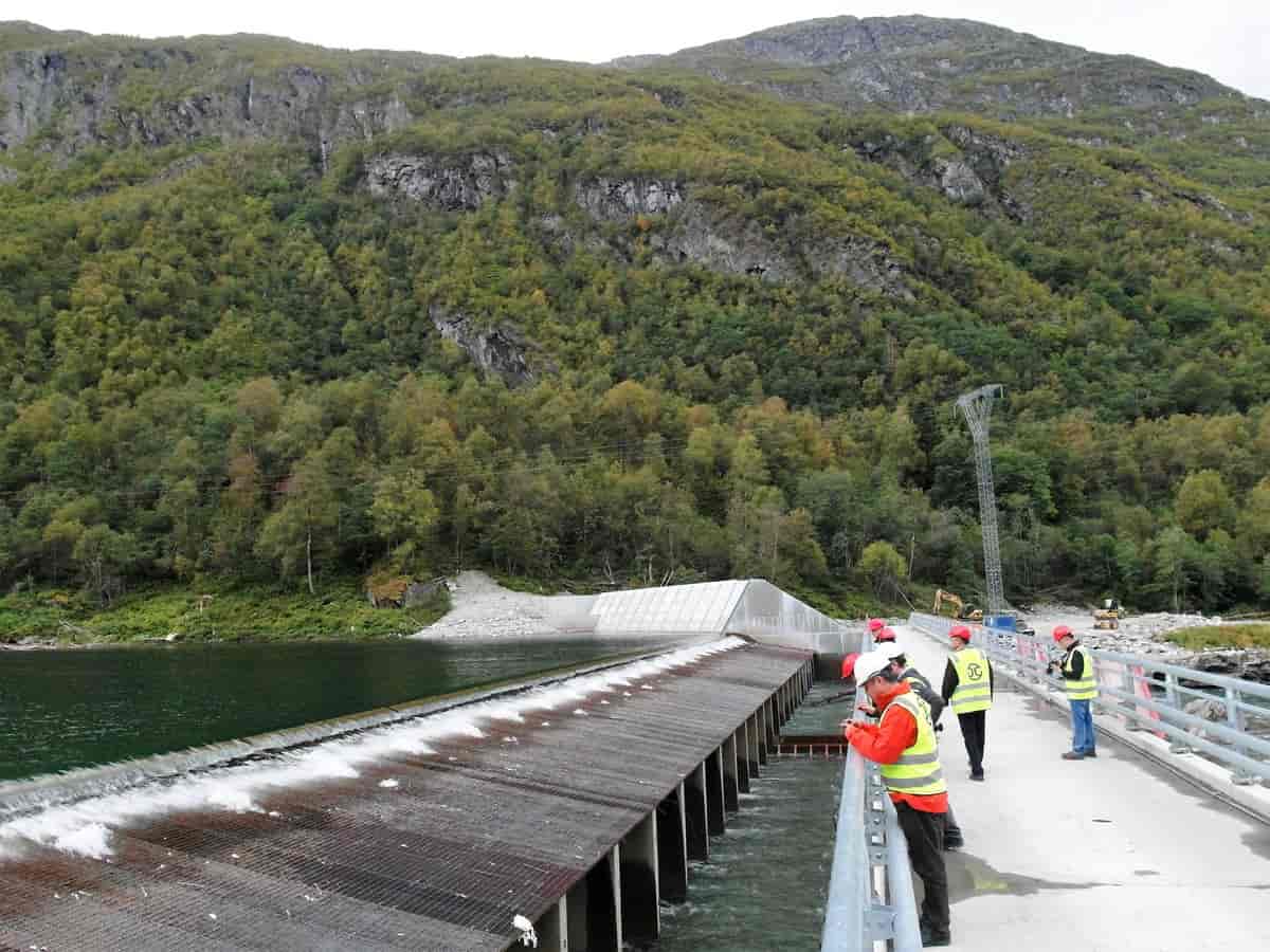 Laksesperre i Driva, Møre og Romsdal