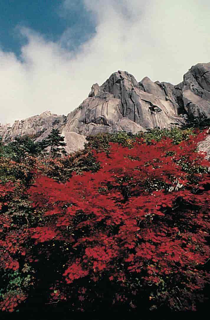 Korea, fjell i Sør-Korea