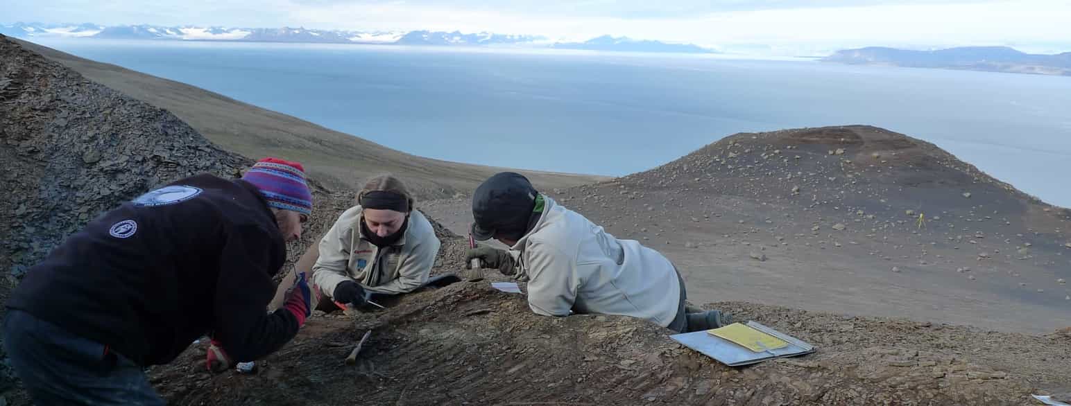 Utgraving av fiskeøglen Cryopterygius kristiansenae på Svalbard