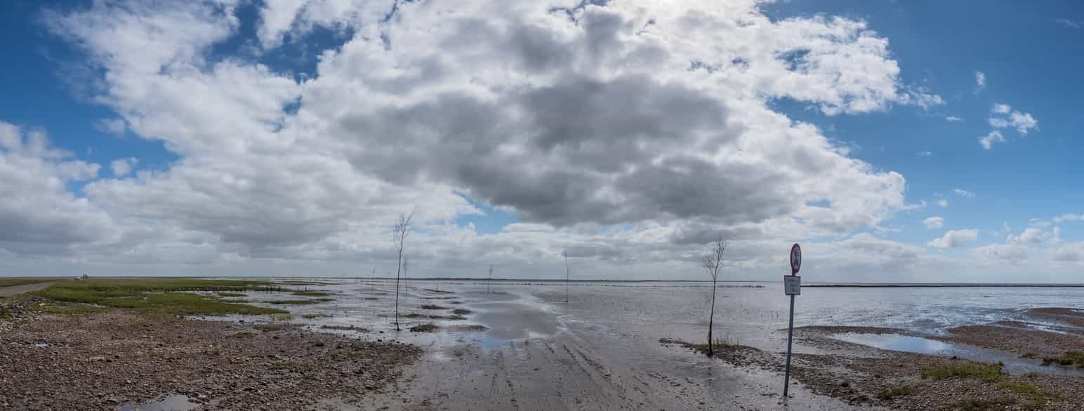 Veien til Mandø i Danmark er oversvømmet av tidevannet