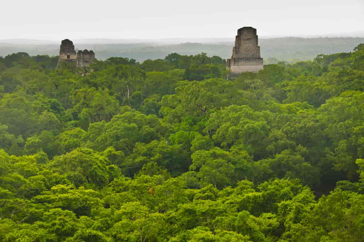 Tikal nasjonalpark, Petén