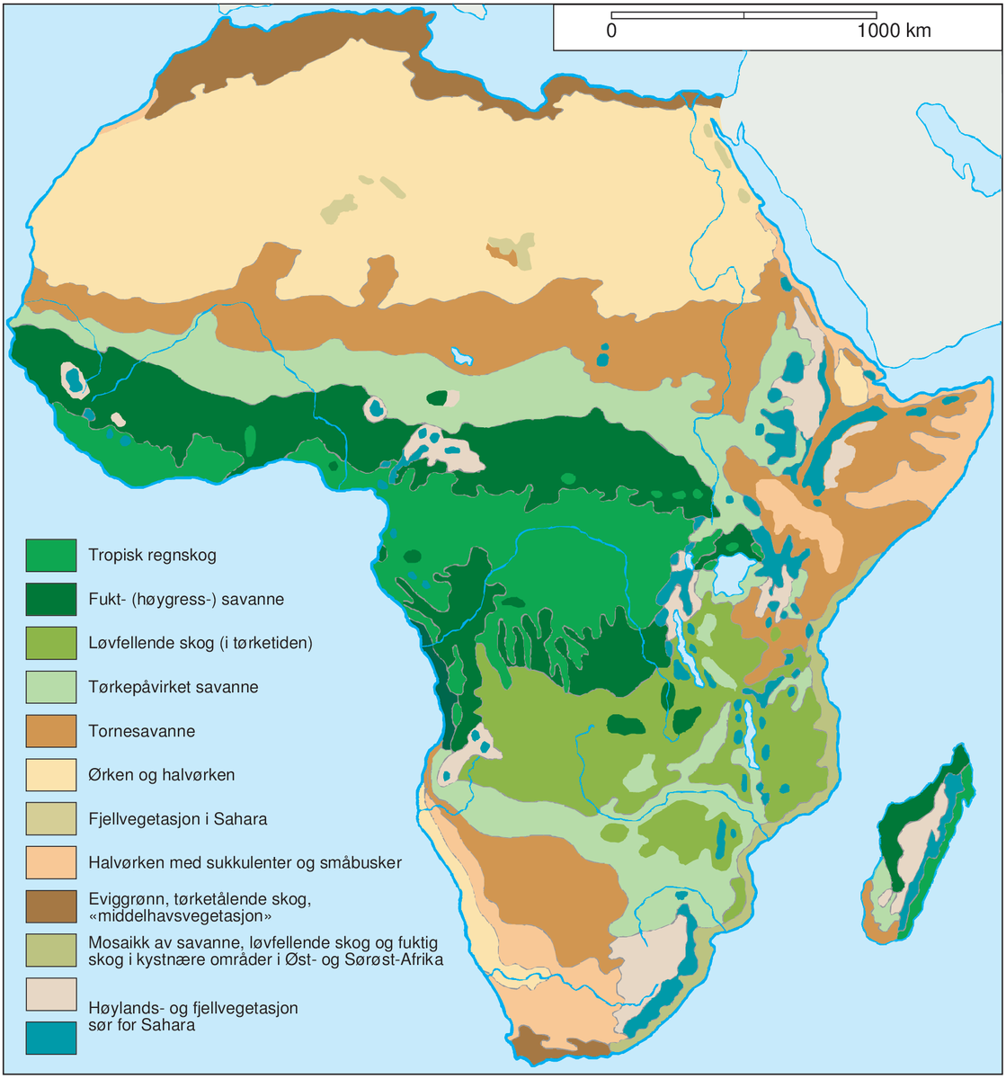 Afrika (vegetasjonskart)