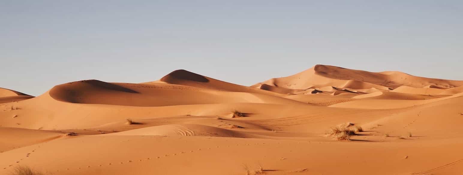Sahara, verdens største ørken, ligger i Afrika