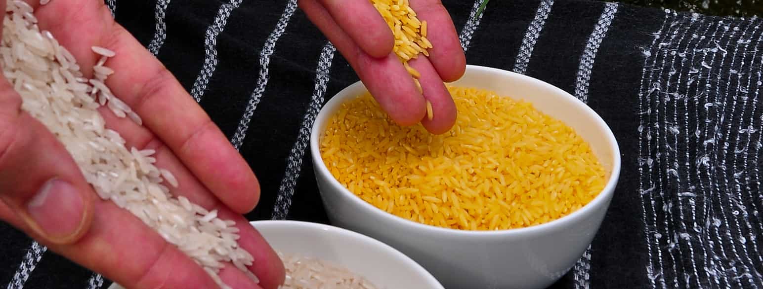 Ris er eksempel på en matvare som endres med genteknologi