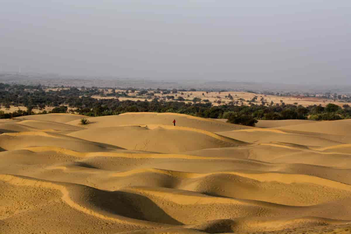 Thar-ørkenen