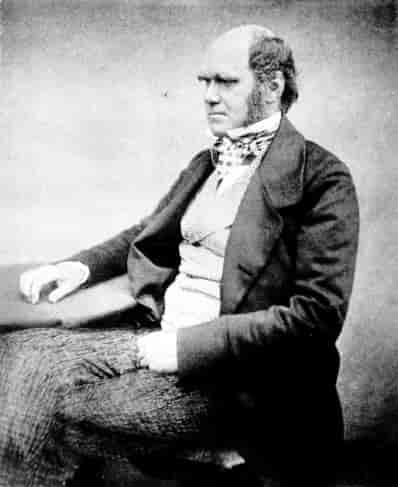 Foto av Darwin tatt ca. 1854