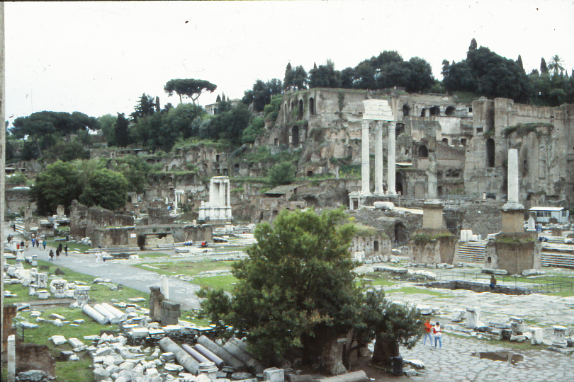Forum Romanum, sett fra nær nordøsthjørnet. De tre store marmorsøylene er fra Castor og Pollux-templet, de mindre ut mot venstrs fra en keisertidsrestaurering av Vestatemplet.