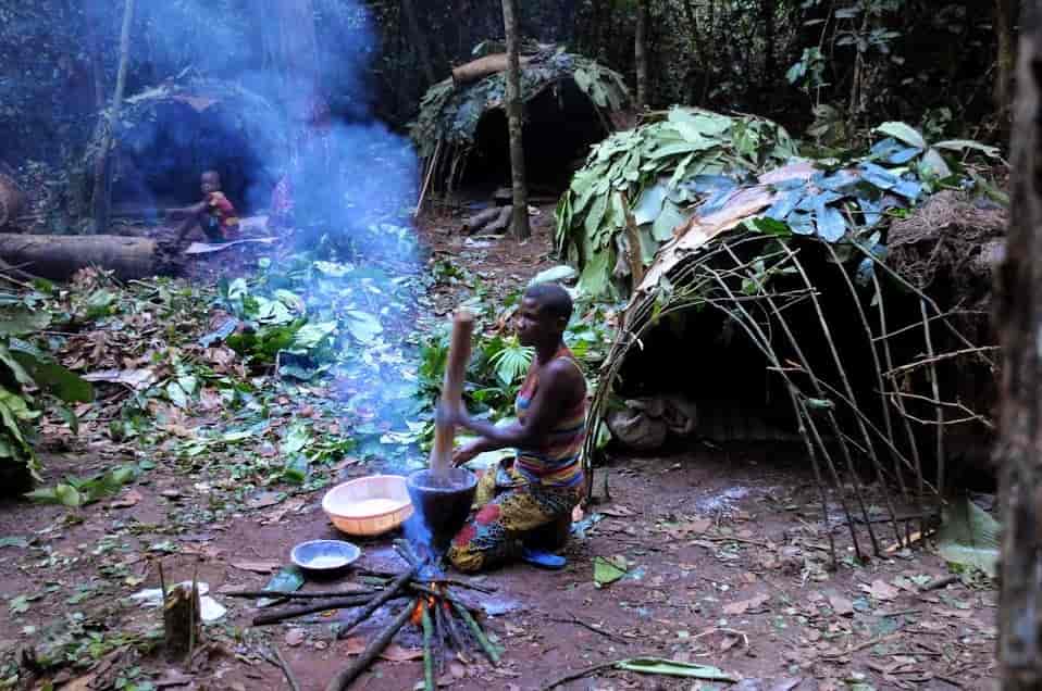 Bajaka-folket i Sentralafrikanske republikk