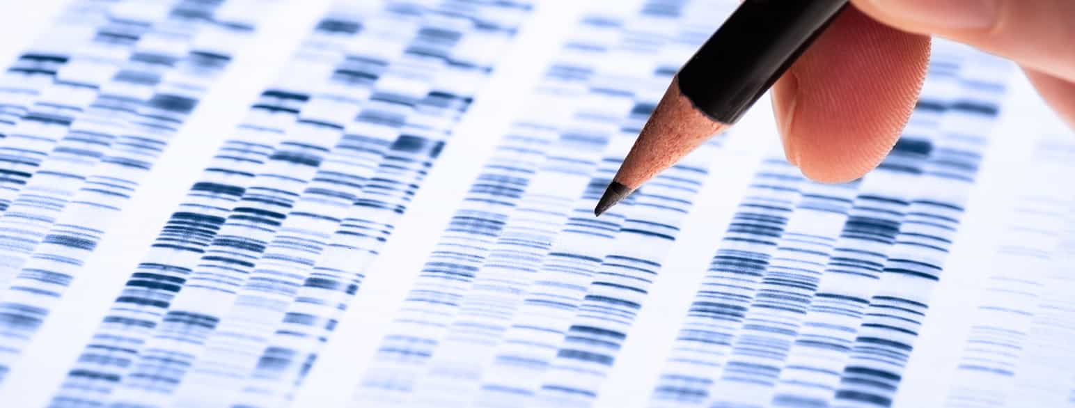 Analyse av en DNA-gel som brukes i genetikken.