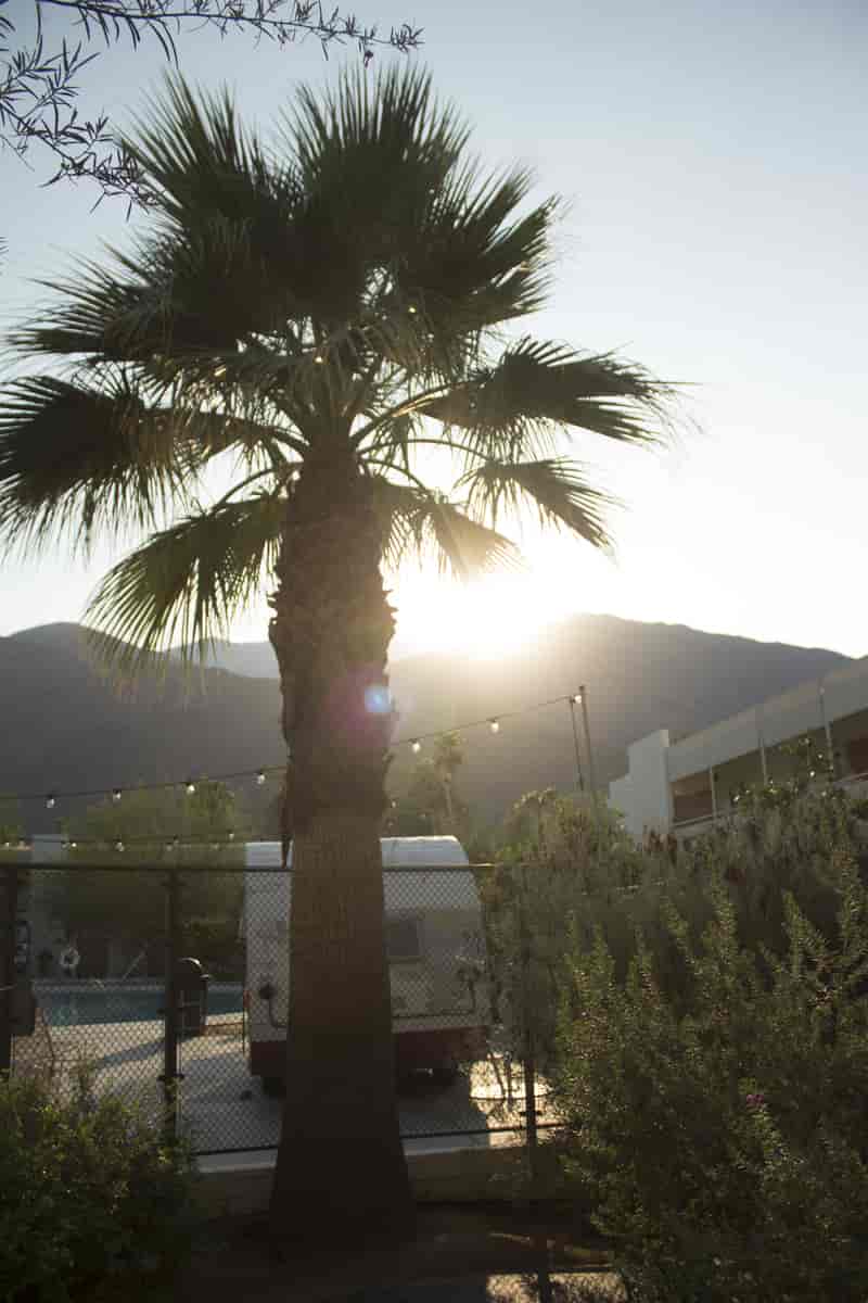 Disig sommerdag i Palm Springs, California