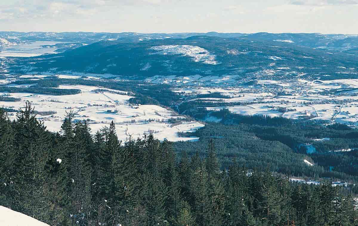 Telemark fylke