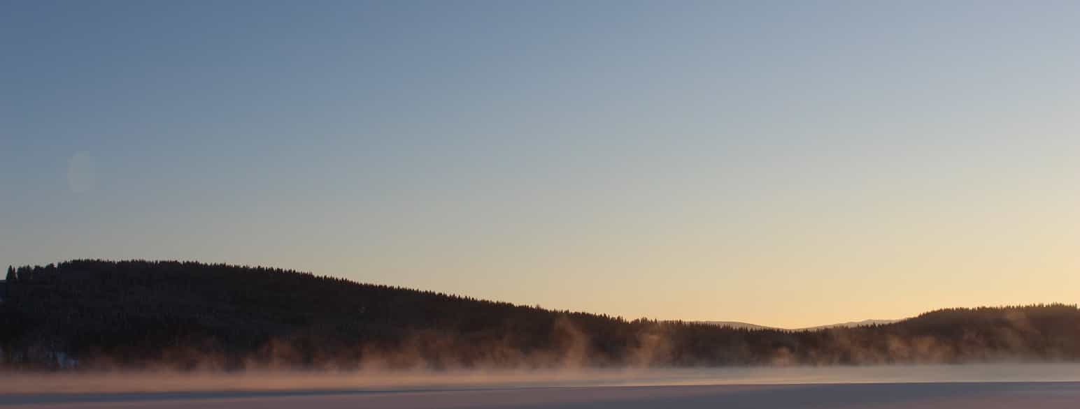 Vinter ved Reinsvatnet (Trøndelag)