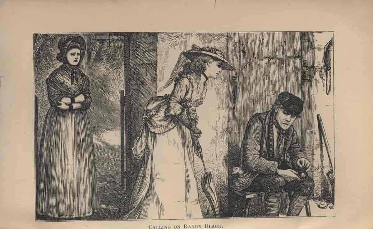 Tittelbladet til romanen Dene Hollow (1875)