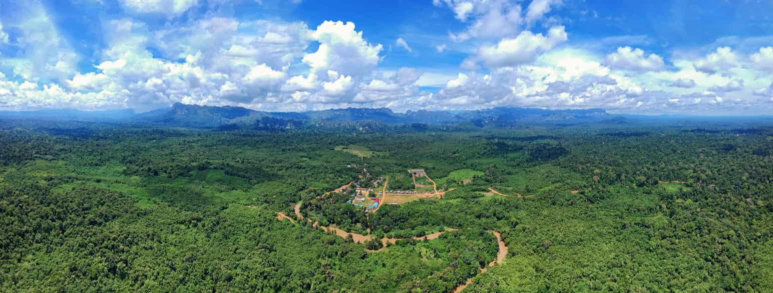Flyfoto av regnskog i Kalimantan med dajak-bosetting