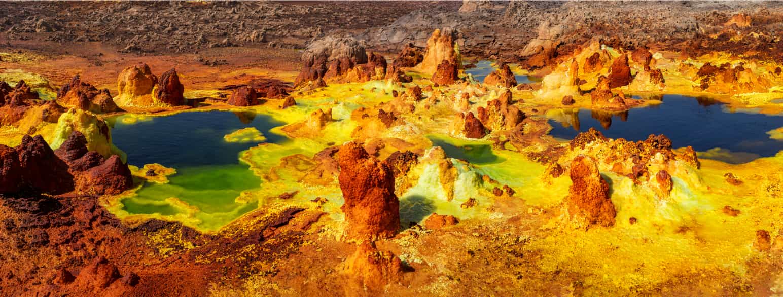 Dallolvulkanen i Ethiopia har syredammer med pH under 1, men det vokser bakterier her som gir dammene den grønne fargen