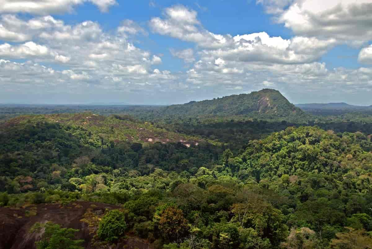Sipaliwini, Surinam