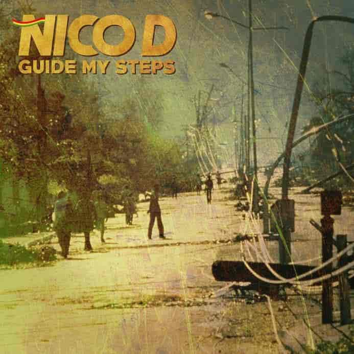 Nico Ds 2020-album.