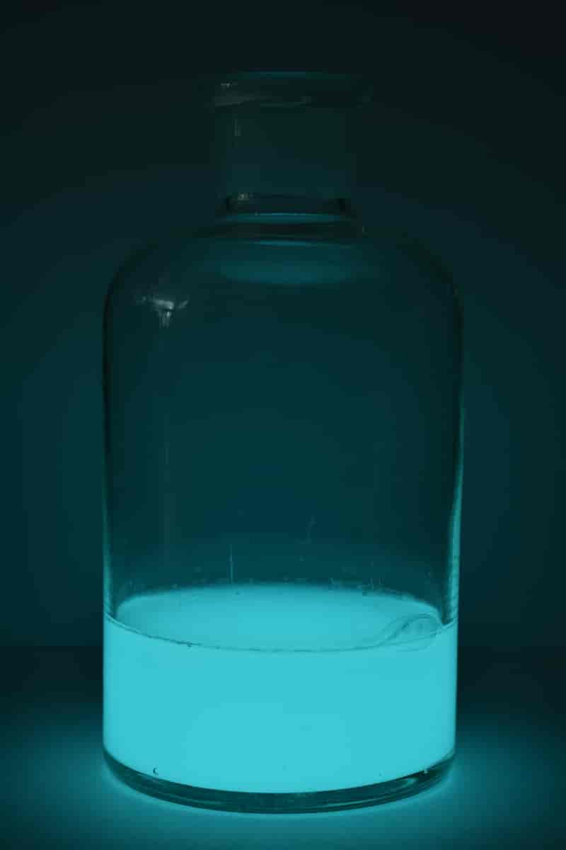 Et glass med en løsning av den lysende bakteriern Photobacterium phosphoreum