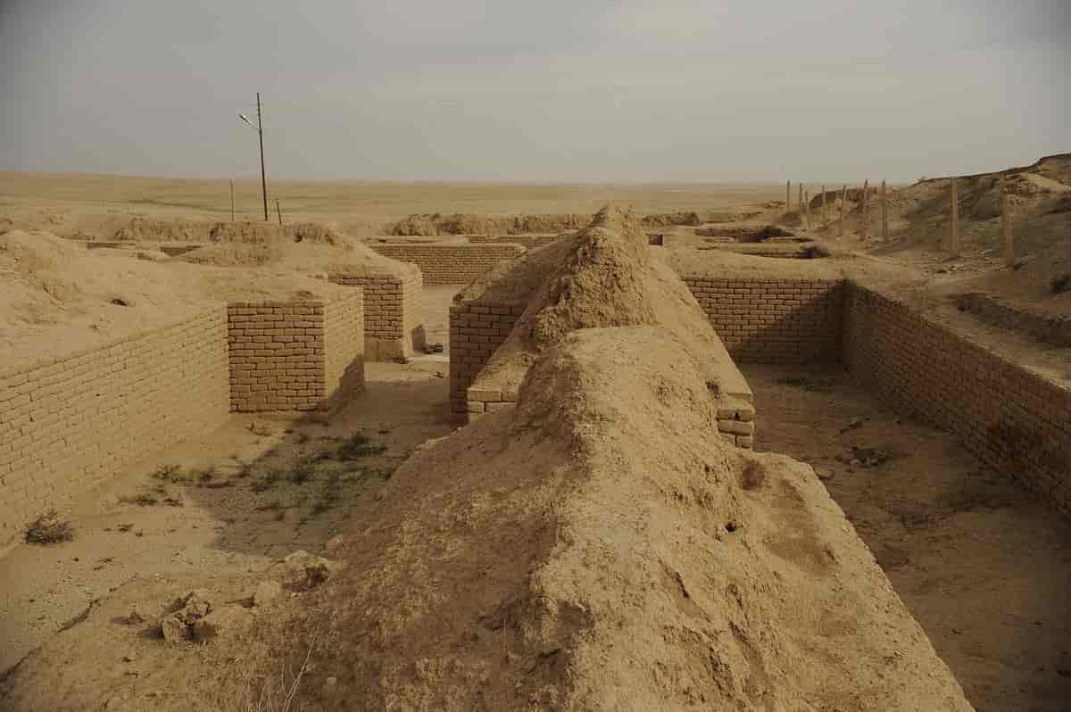 Utgravningsområdet i Nimrud i 2008.