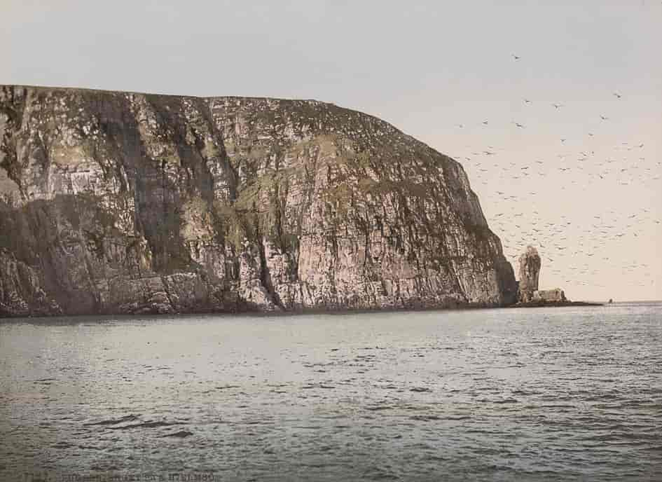 Fuglefjellet ved Hjelmsøy, omtrent 1890-1900