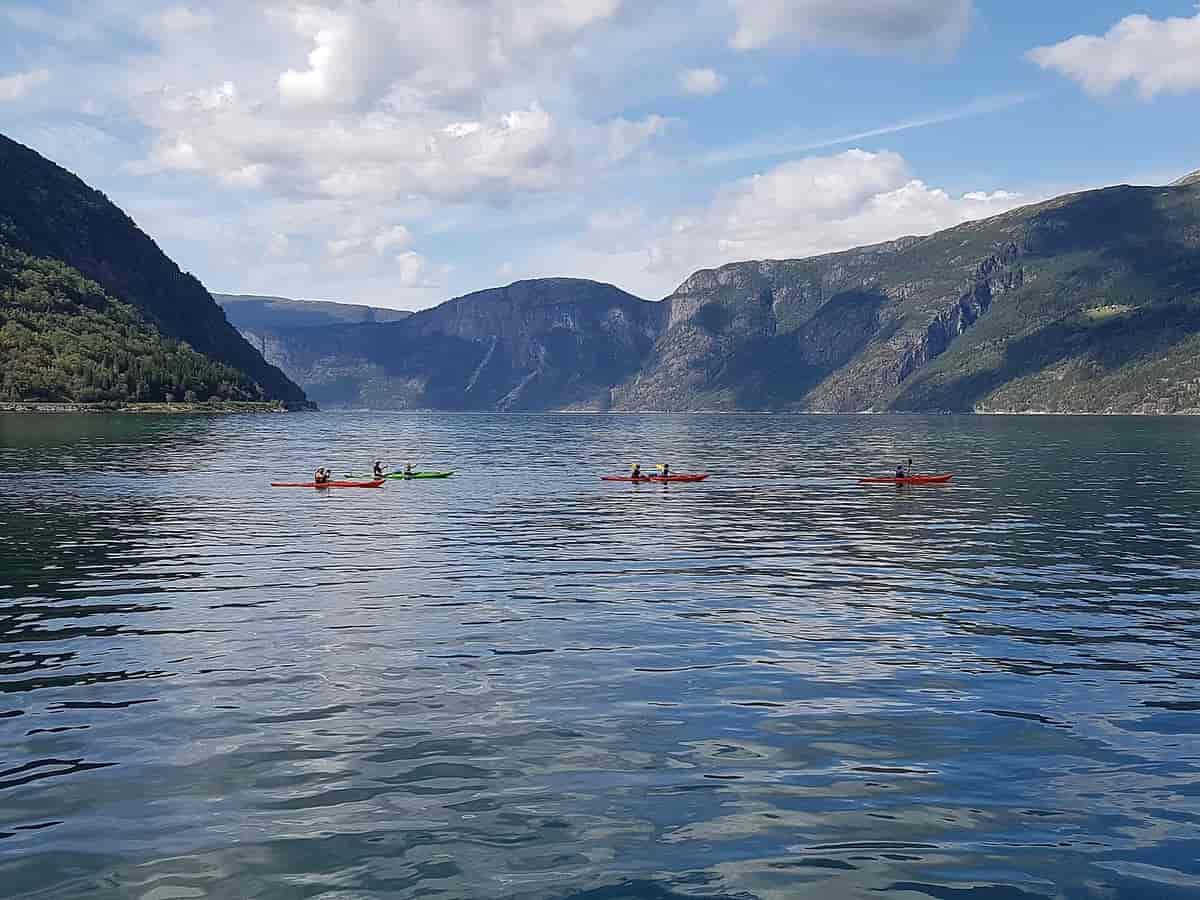 Kajakkpadlere i Eidfjorden