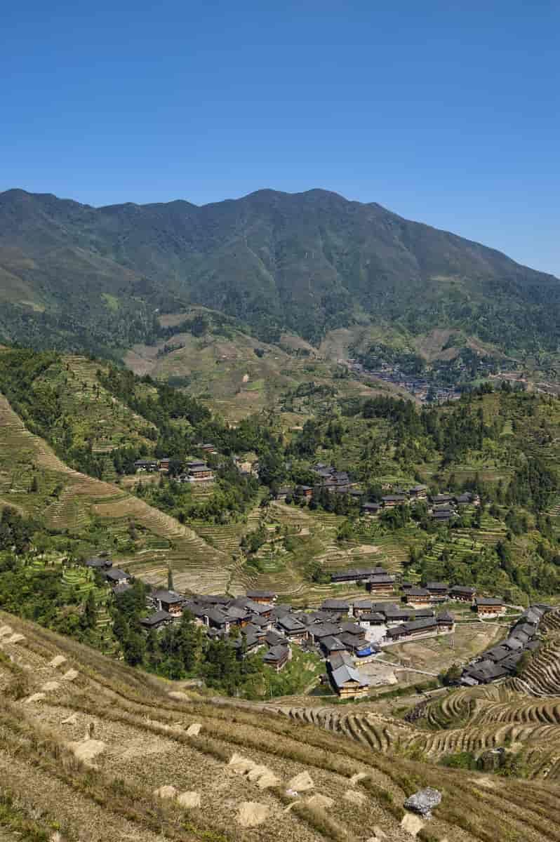 Risterasser i zhuang-landsby