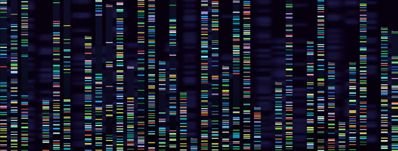 DNA-fragmenter