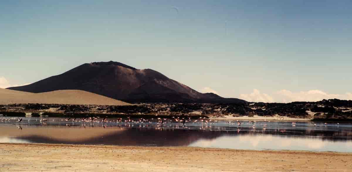 Antofagasta de la Sierra, Catamarca