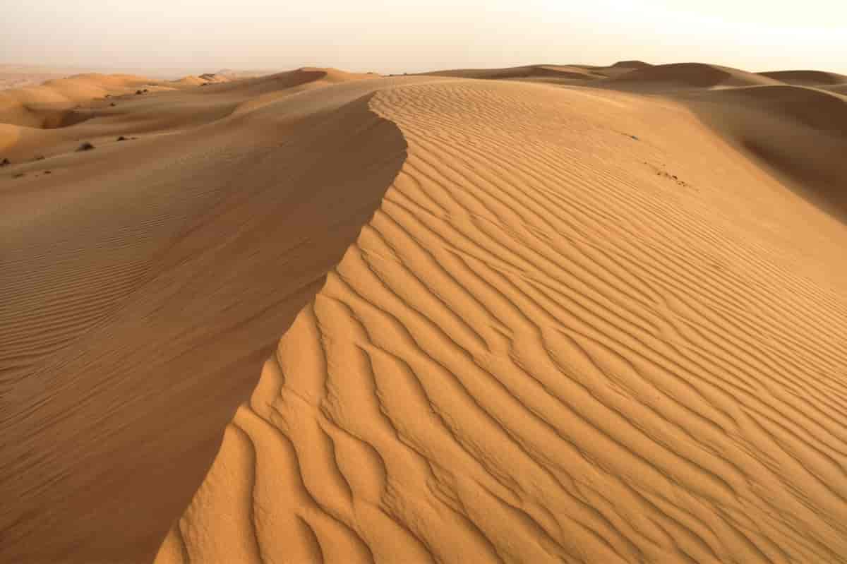 Den arabiske ørken