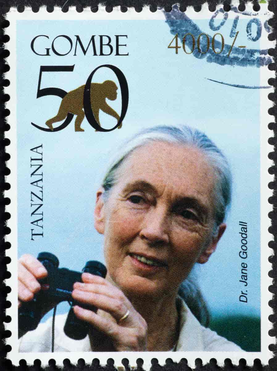 Frimerke med Jane Goodall