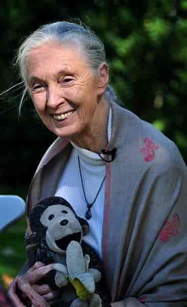 Jane Goodall, 2010