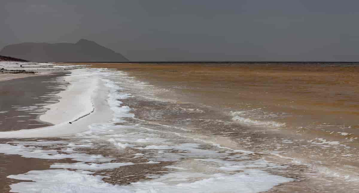 Urmiasjøen