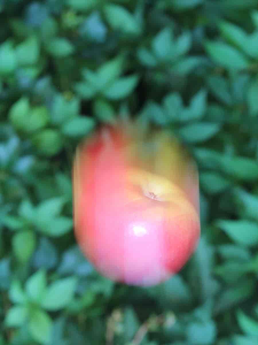 Fallende eple