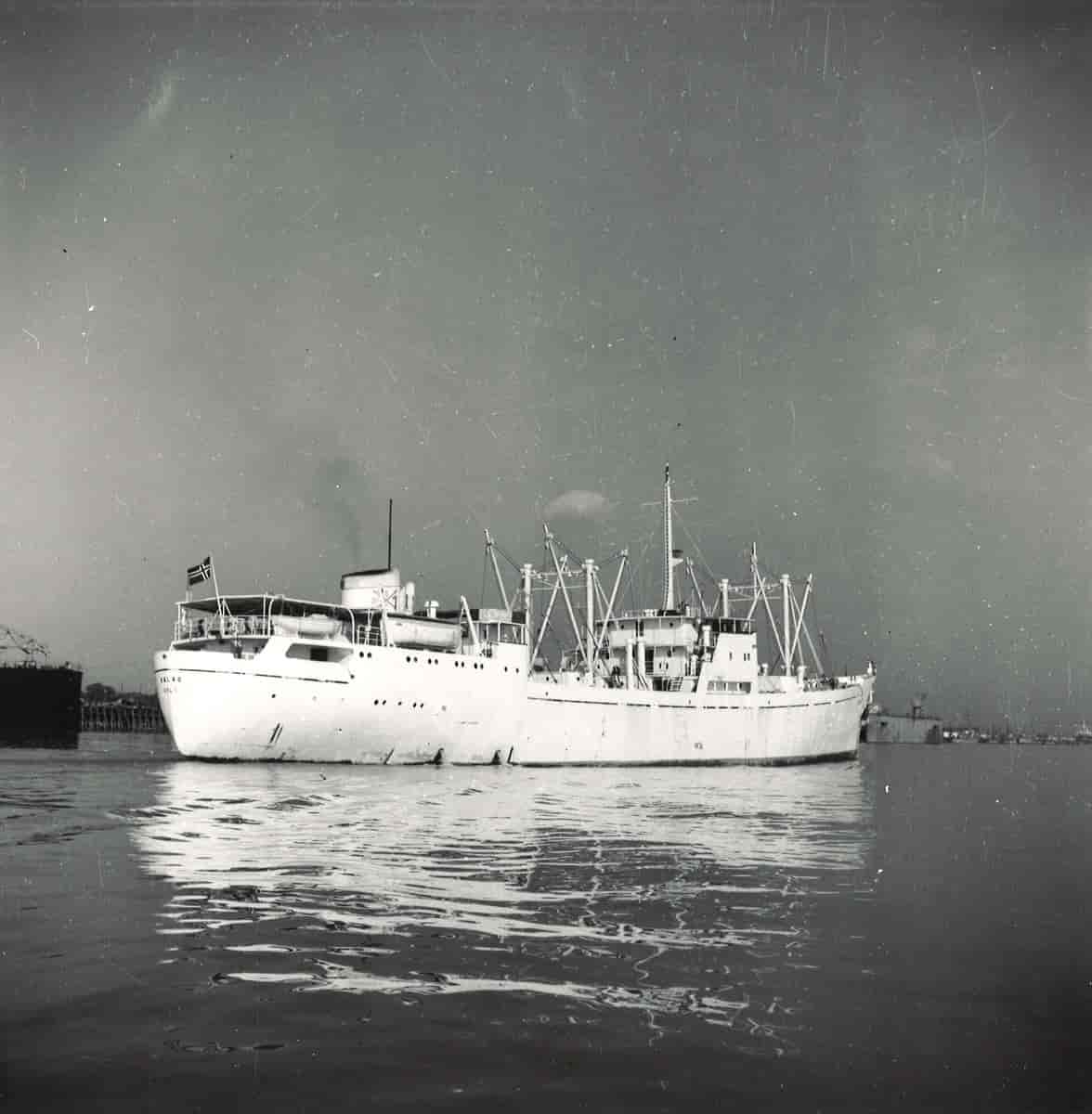 MS Balao, kjøleskip 2.167 grt, levert 1952.
