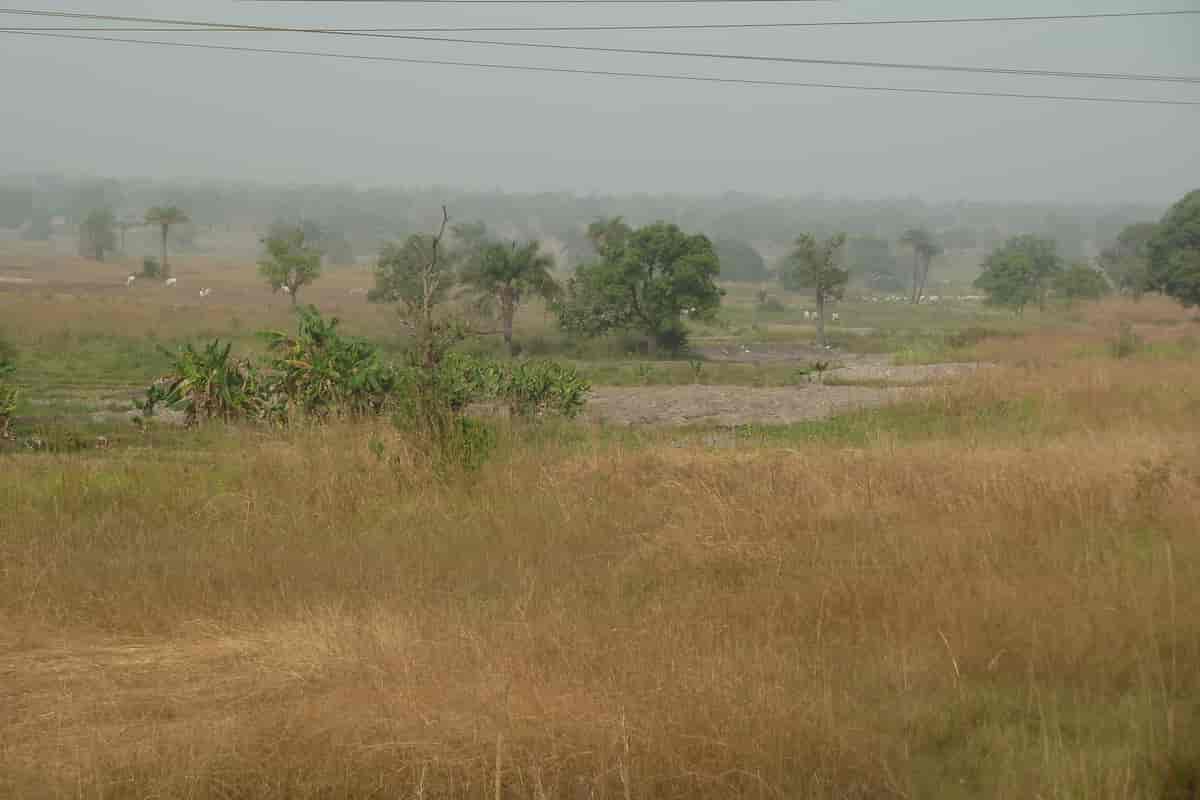 Inland valley rice production near Bida, Niger State, Nigeria