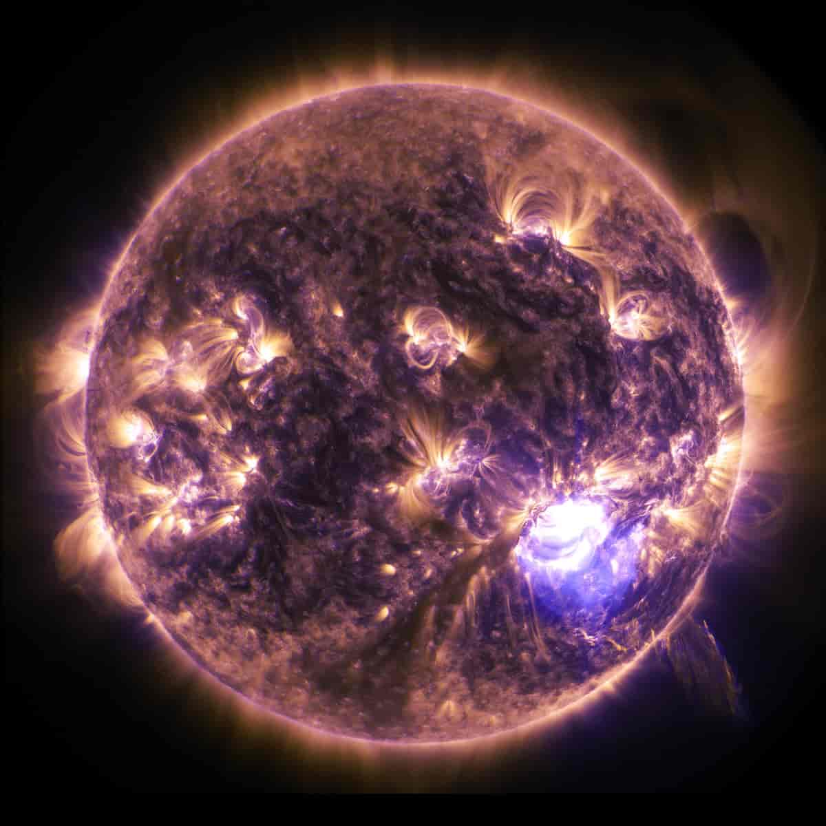 Bilde av solskiven i ultrafiolett stråling ved bølgelengde 171 Ångstrøm, som viser en rekke magnetisk aktive områder.