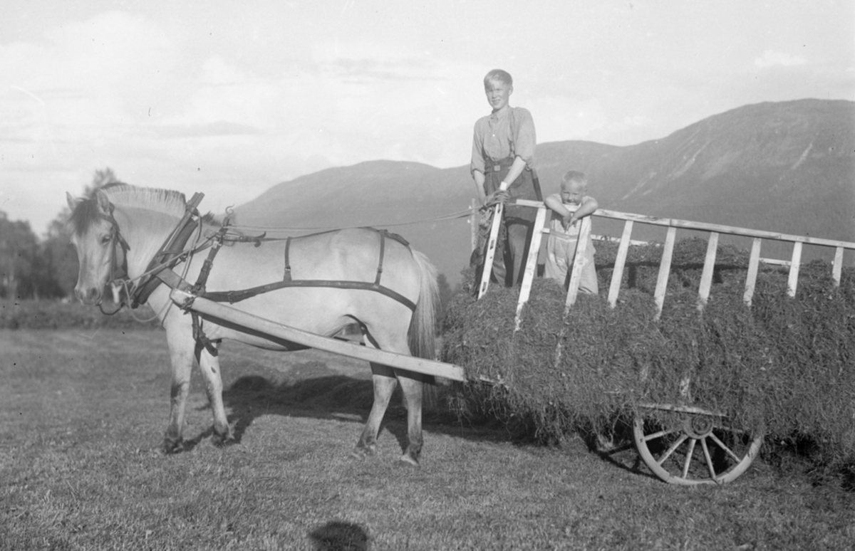 Høykjøring i Nesset, Møre og Romsdal 1933.