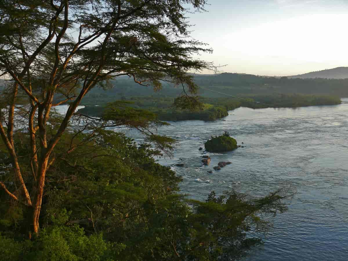 Lake Victoria ved Jinja