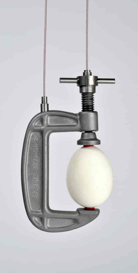 Bæreinstrument for gåse-egg